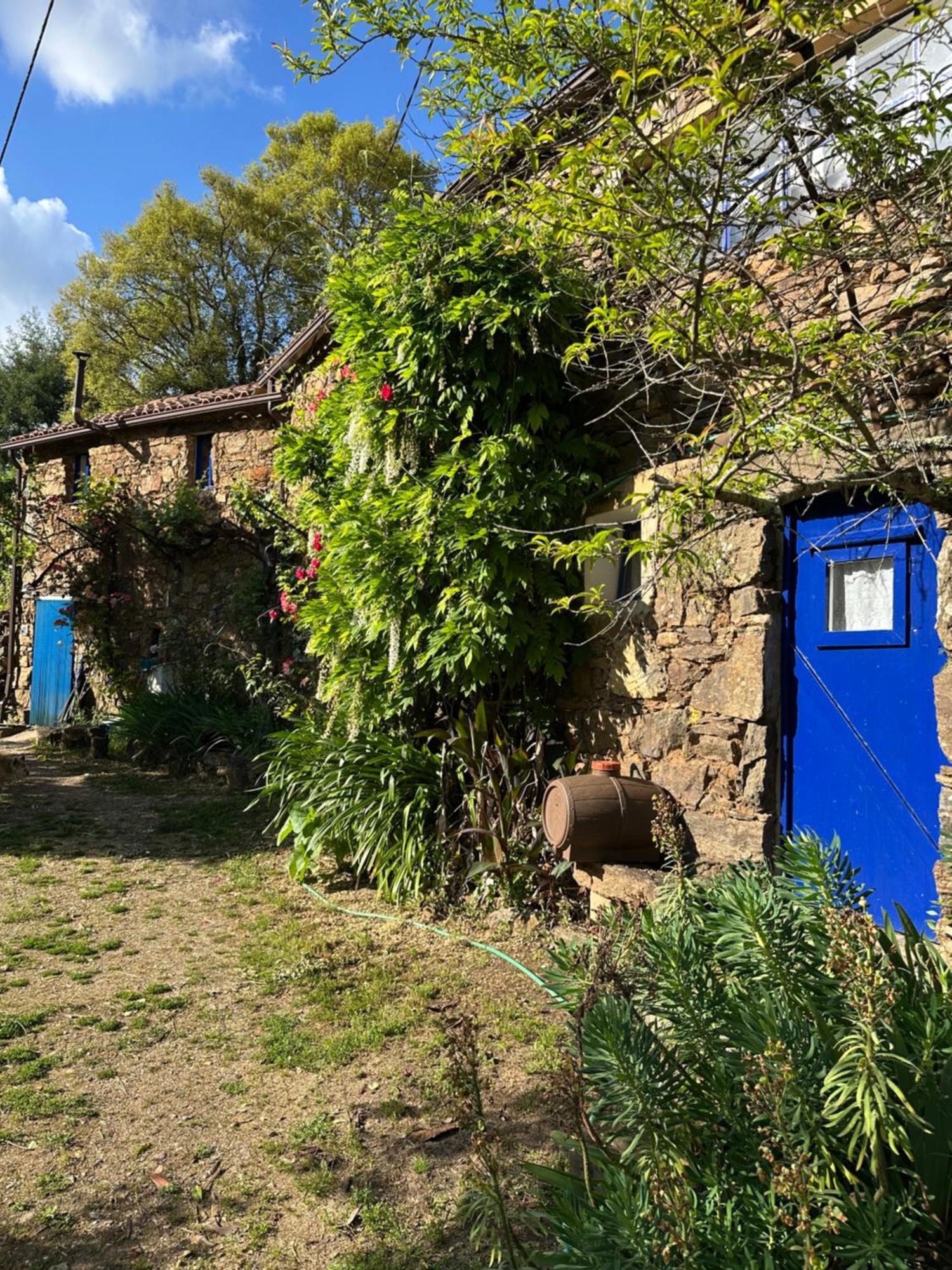 Giant Canvas Rental Tent Agro-Turismo Quinta Da Fonte Figueiro Dos Vinhos Εξωτερικό φωτογραφία